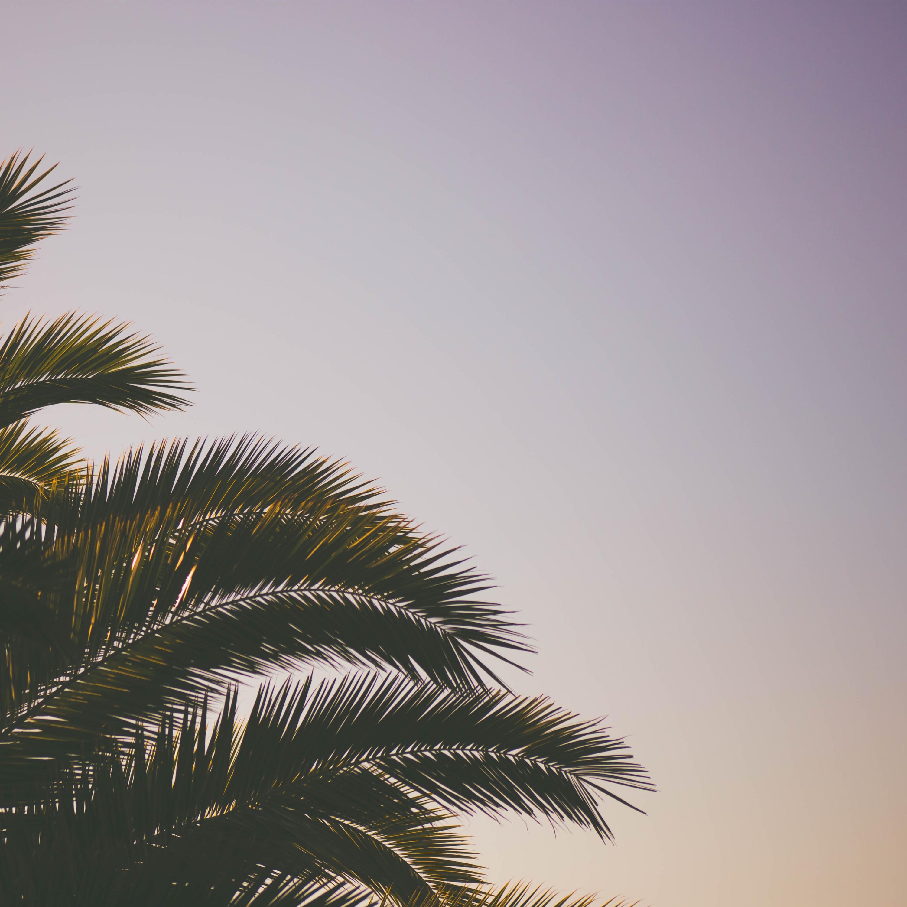 How Not to Die on a Desert Island - EP album cover