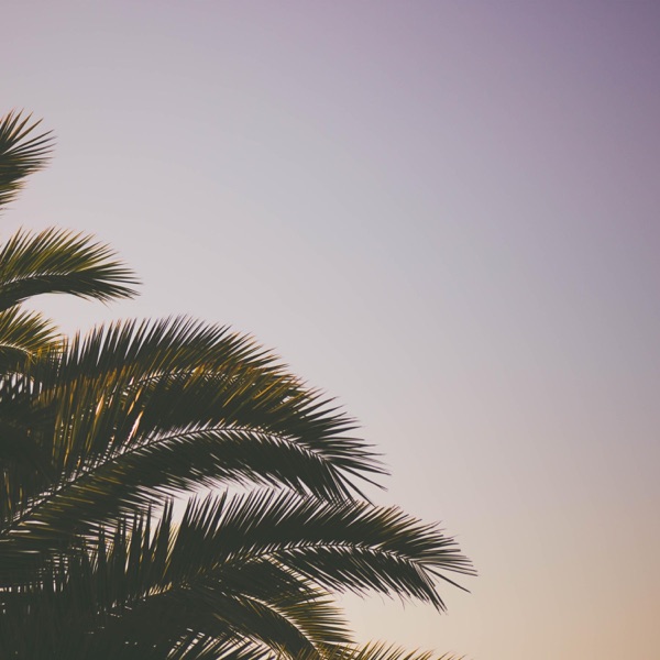 How Not to Die on a Desert Island - EP album cover