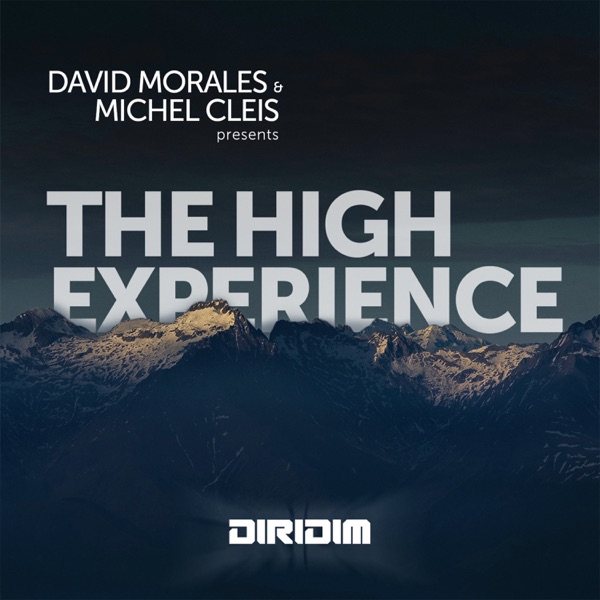 The High Experience album cover