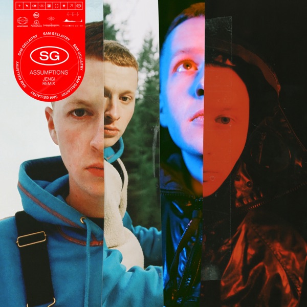 Assumptions (Jengi Remix) - Single album cover