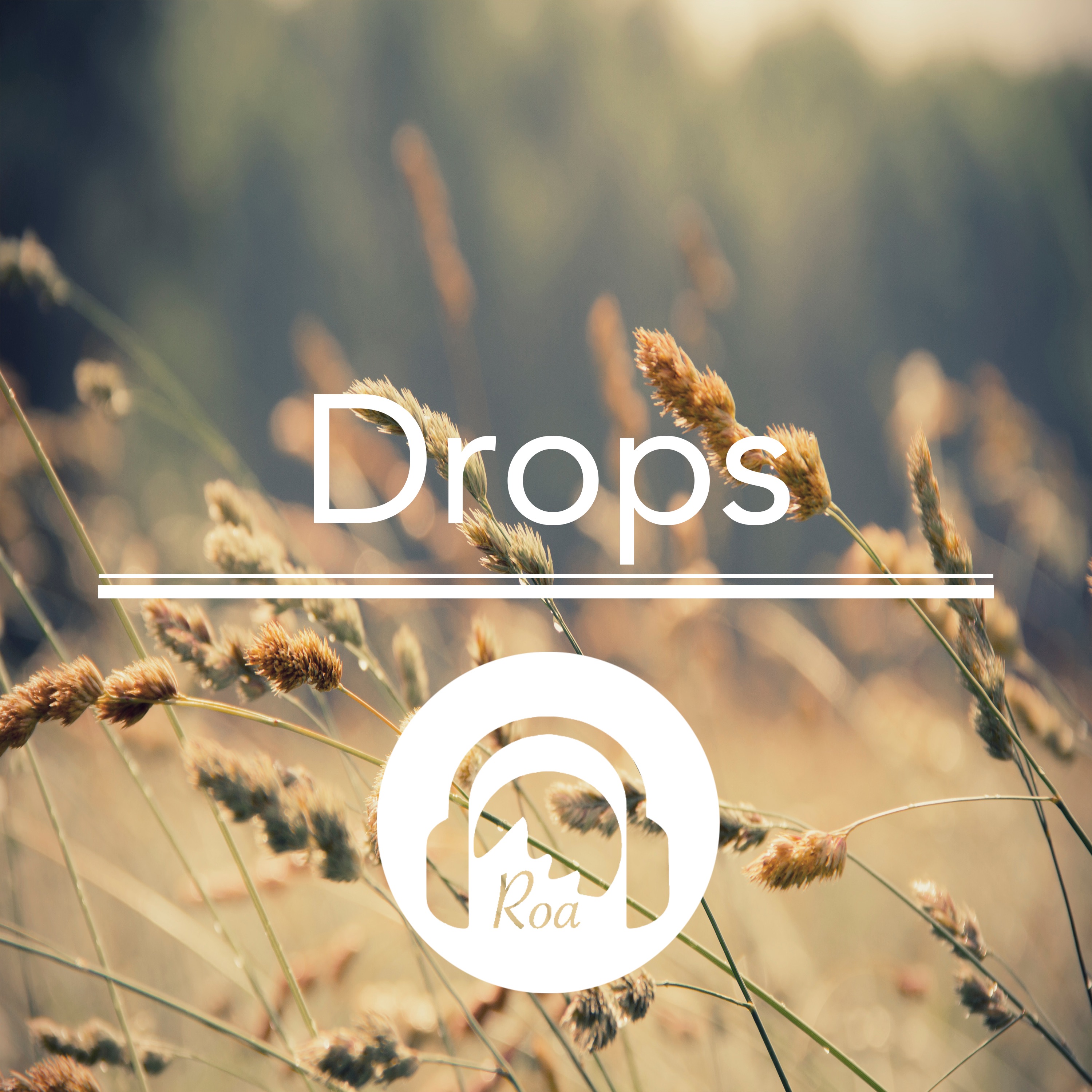 Drops - Single album cover