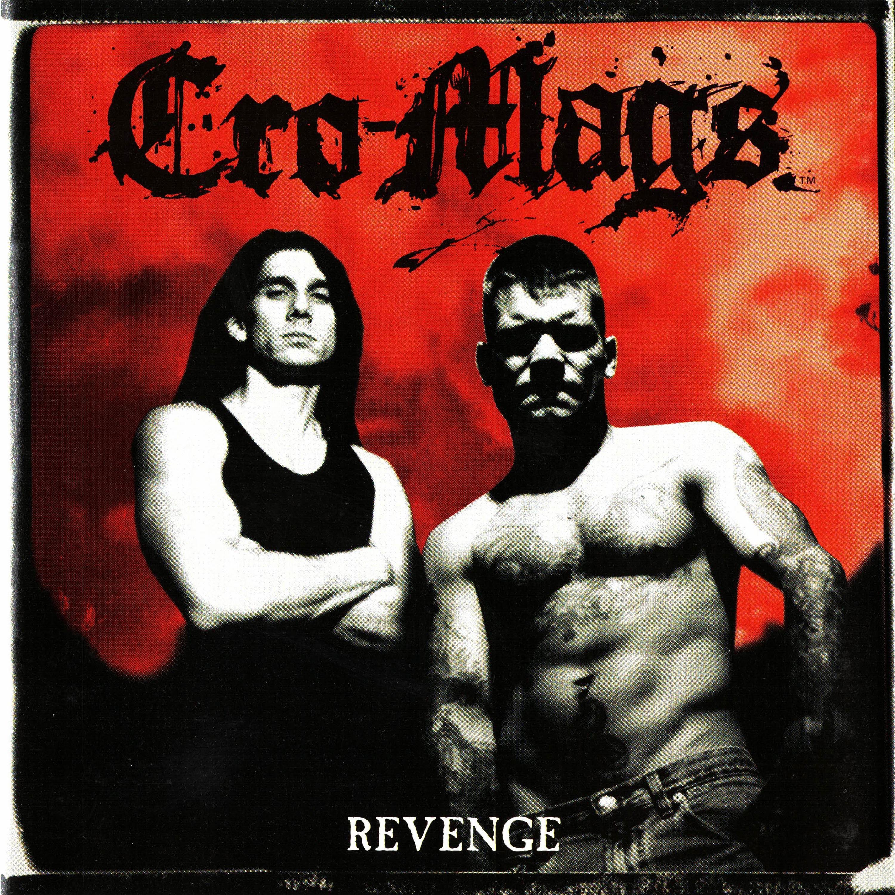Revenge album cover