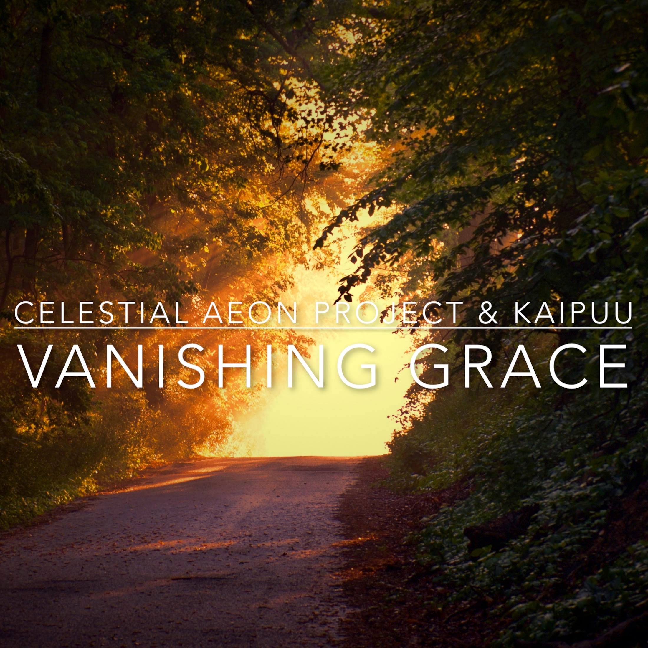 Vanishing Grace (From "the Last of Us") - Single album cover
