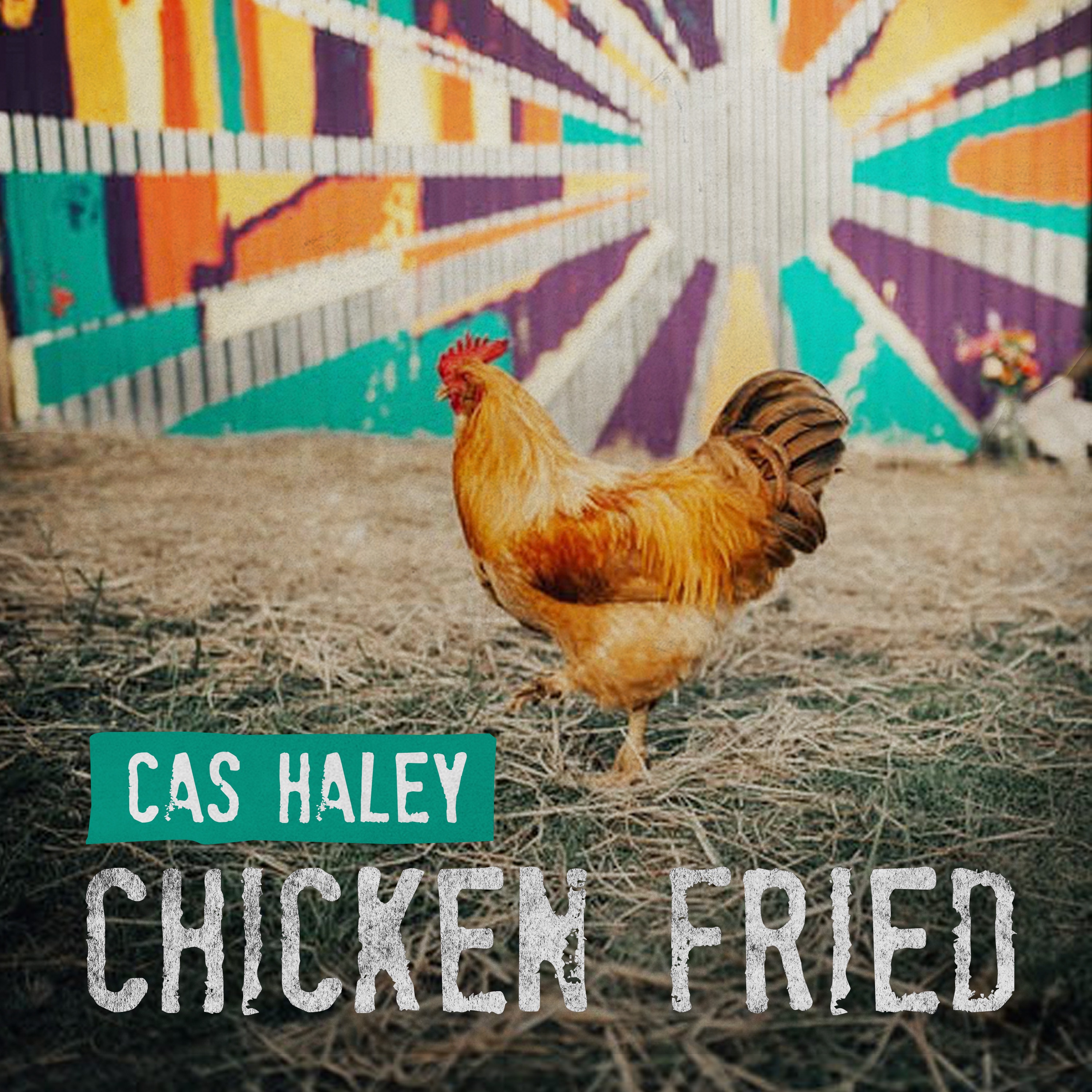 Chicken Fried - Single album cover