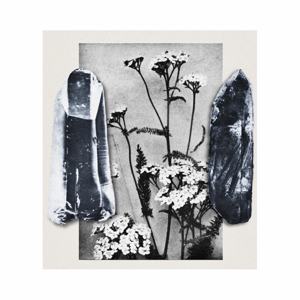 Most Forgotten album cover