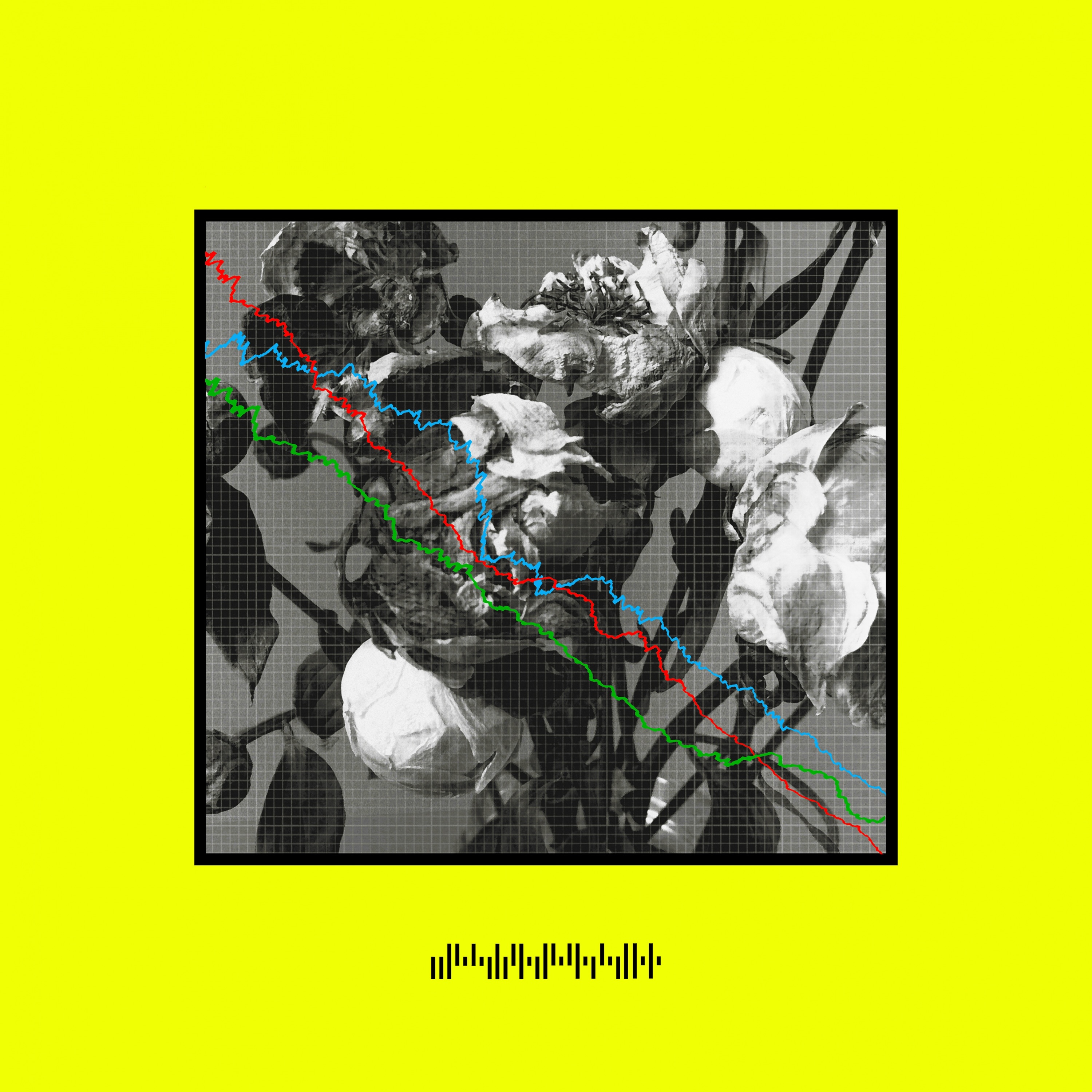 Walking Wires - Single album cover