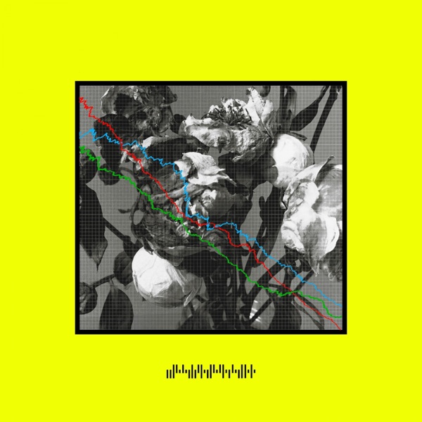 Walking Wires - Single album cover