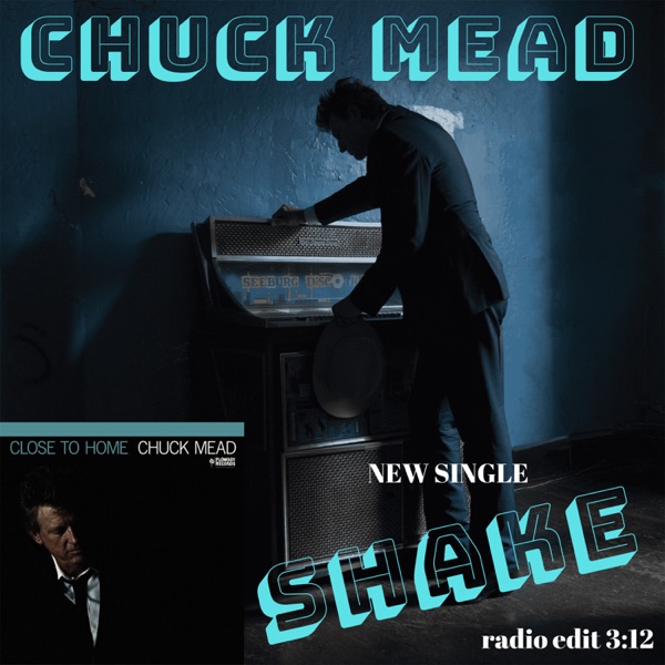 Shake (Radio Edit) - Single album cover