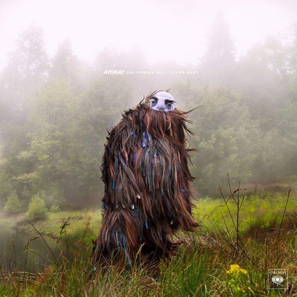 California Will Never Rest - Single album cover