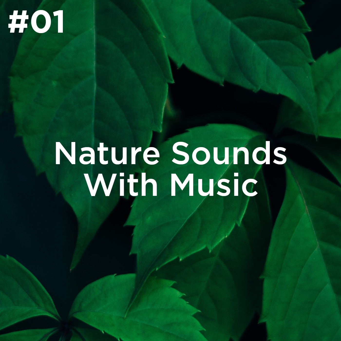 #01 Nature Sounds with Music album cover