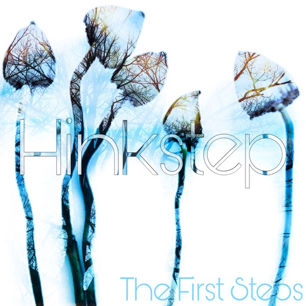 The First Steps album cover