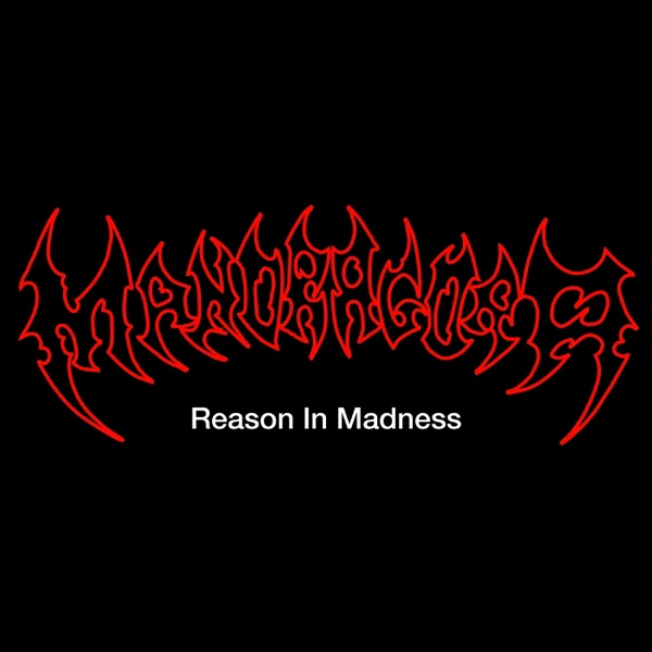 Reason in Madness - Single album cover