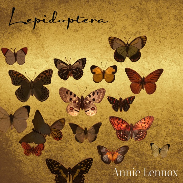 Lepidoptera album cover