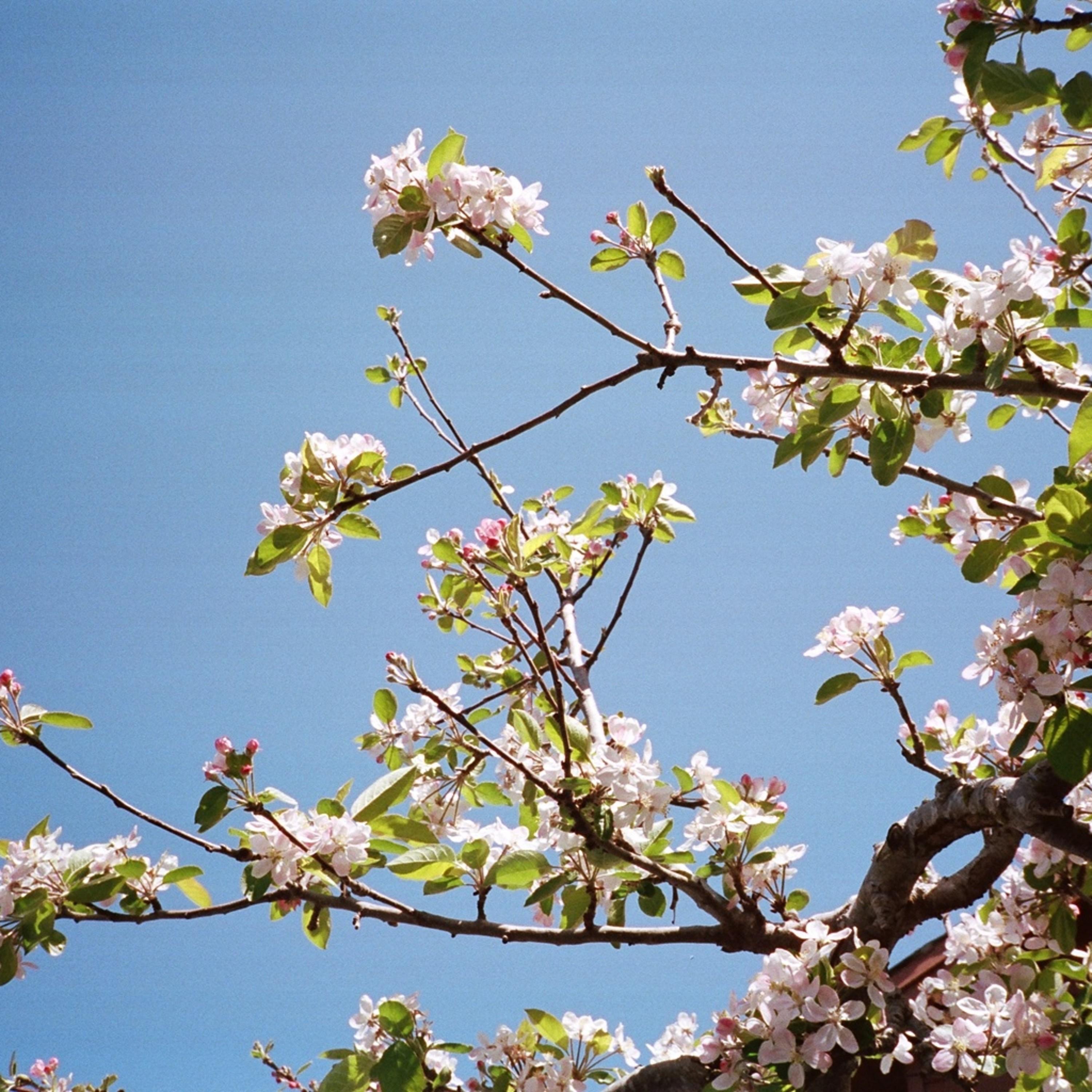 Breeze (feat. Cloudchord) - Single album cover