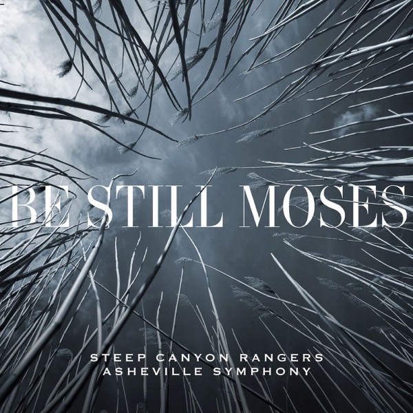 Be Still Moses album cover