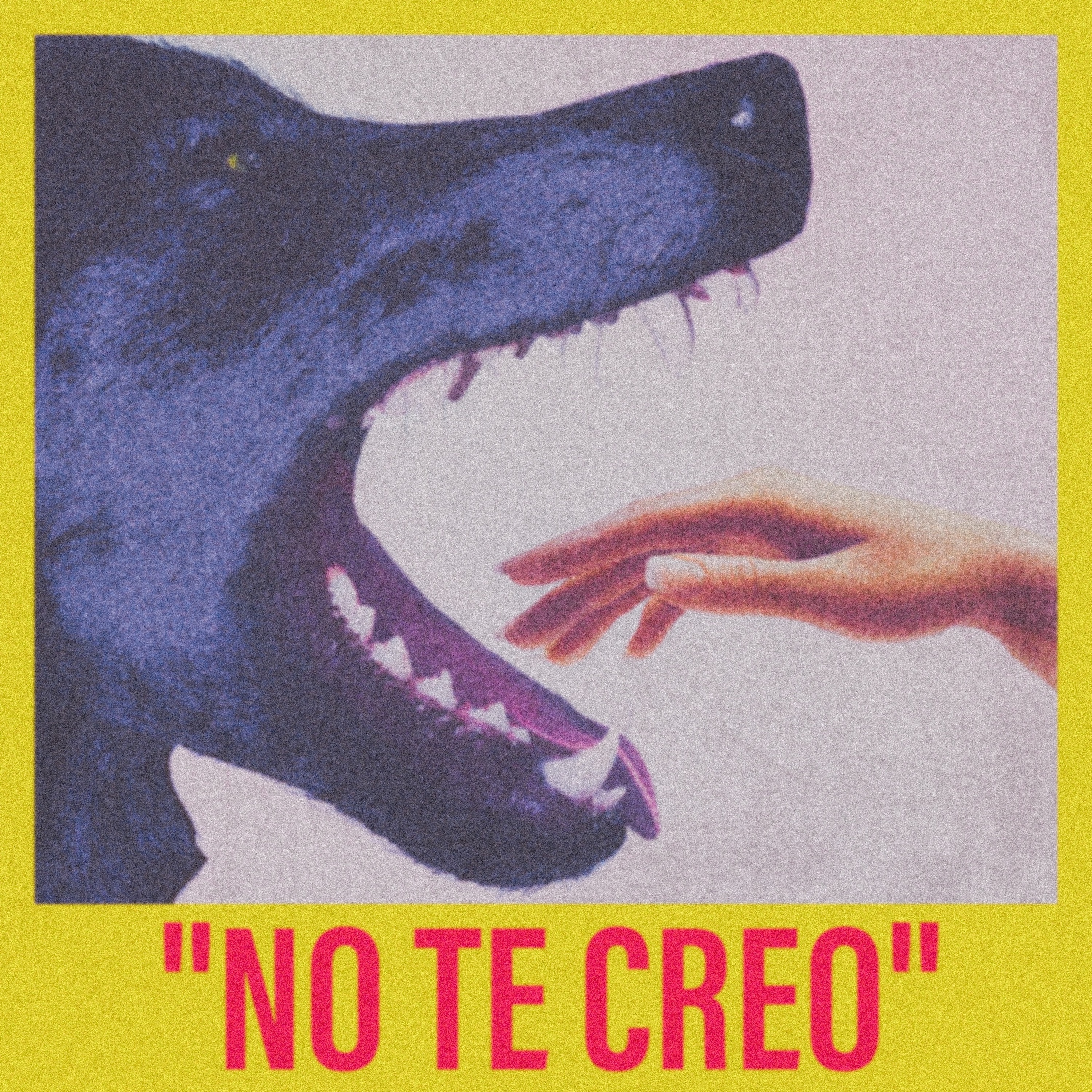 No Te Creo - Single album cover