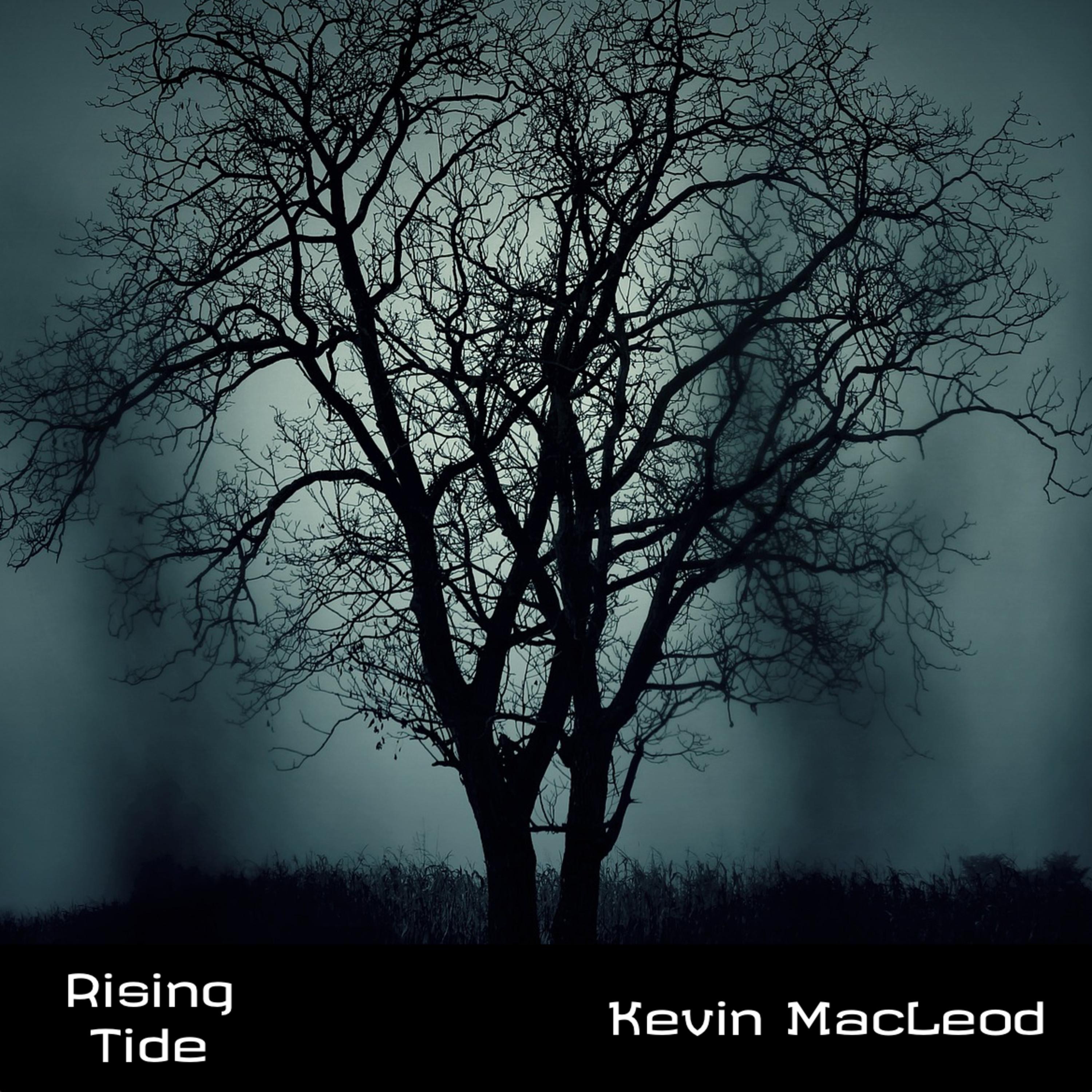 Rising Tide - Single album cover