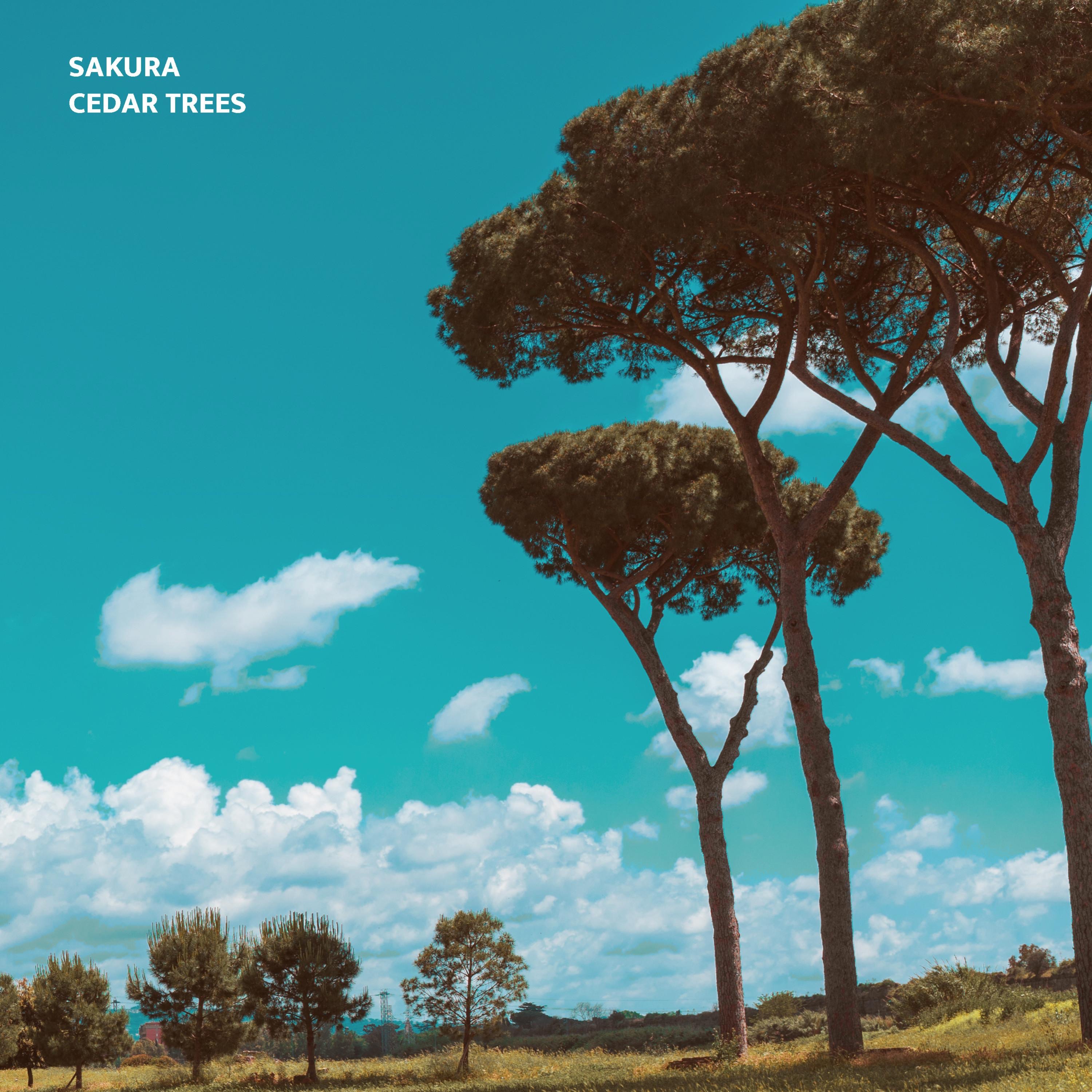 Cedar Trees - EP album cover