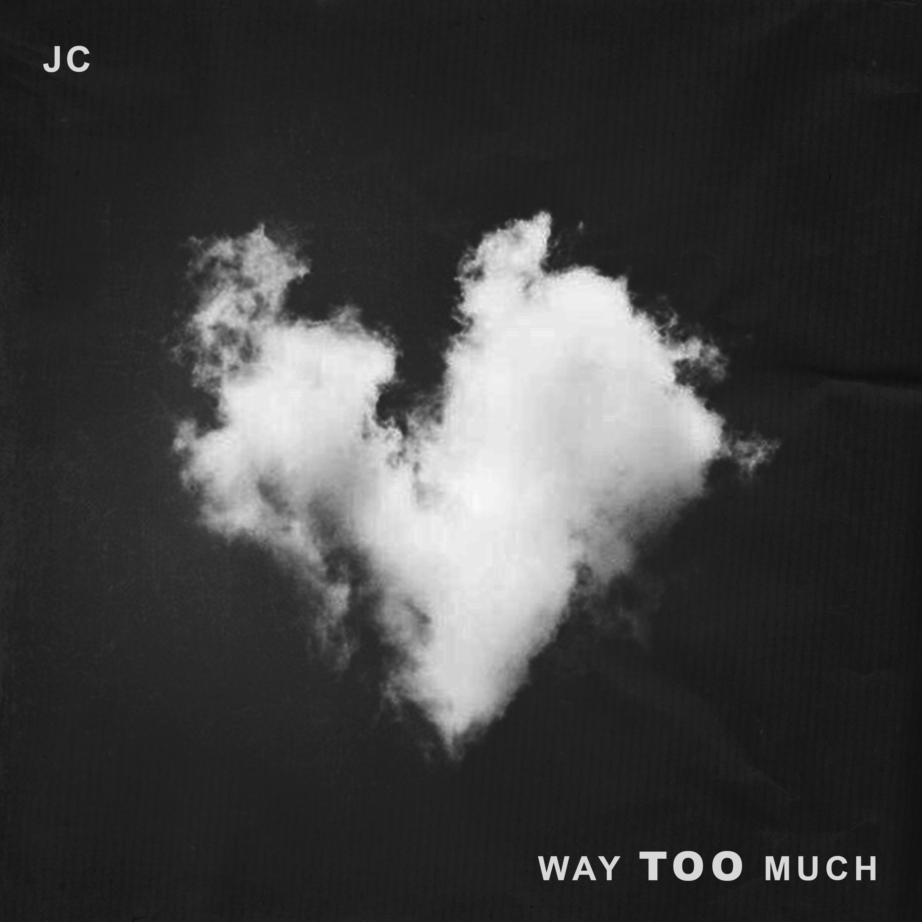Way Too Much - Single album cover