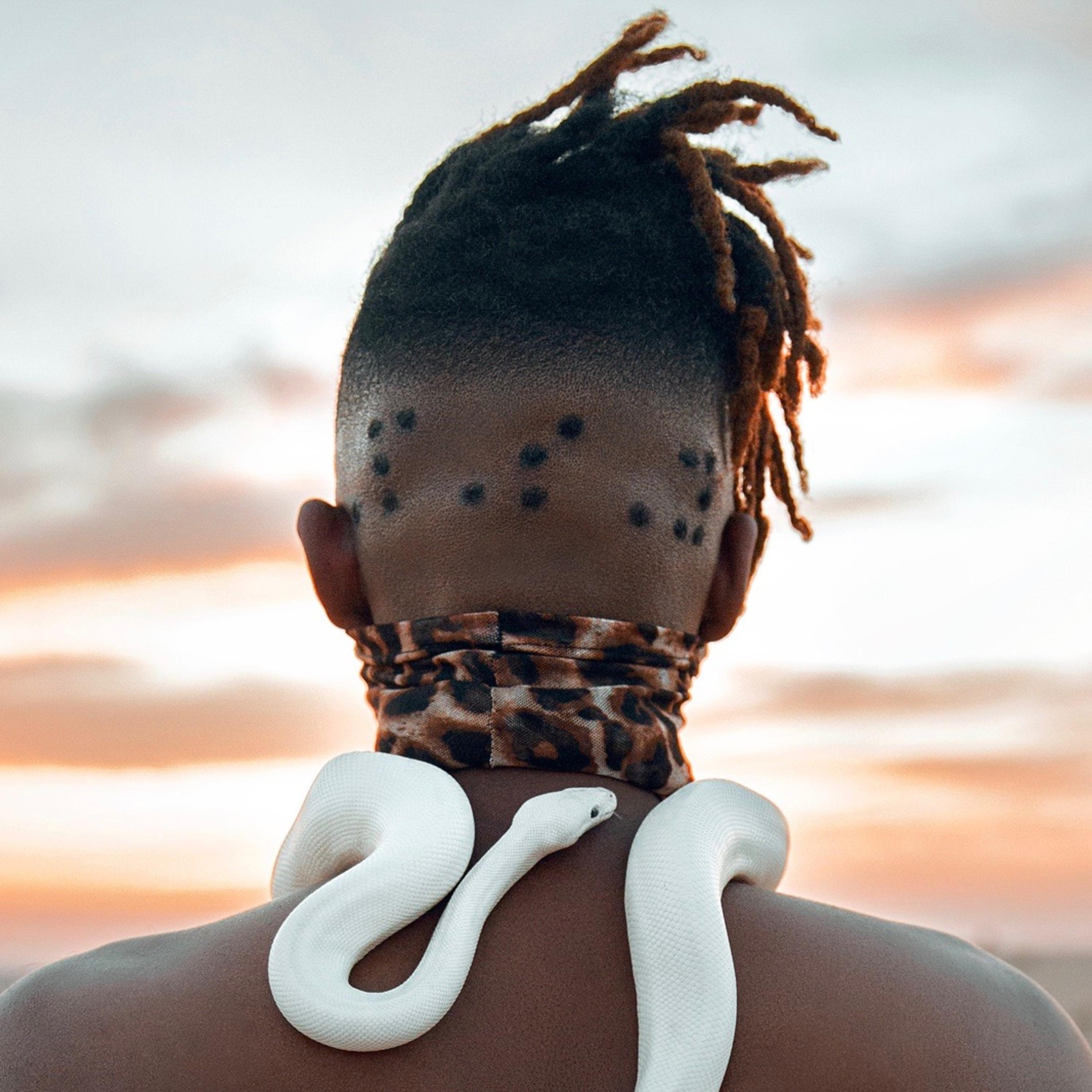 Psyflo What's That Noise - EP album cover