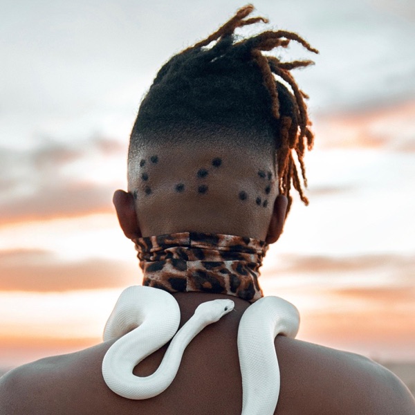 Psyflo What's That Noise - EP album cover