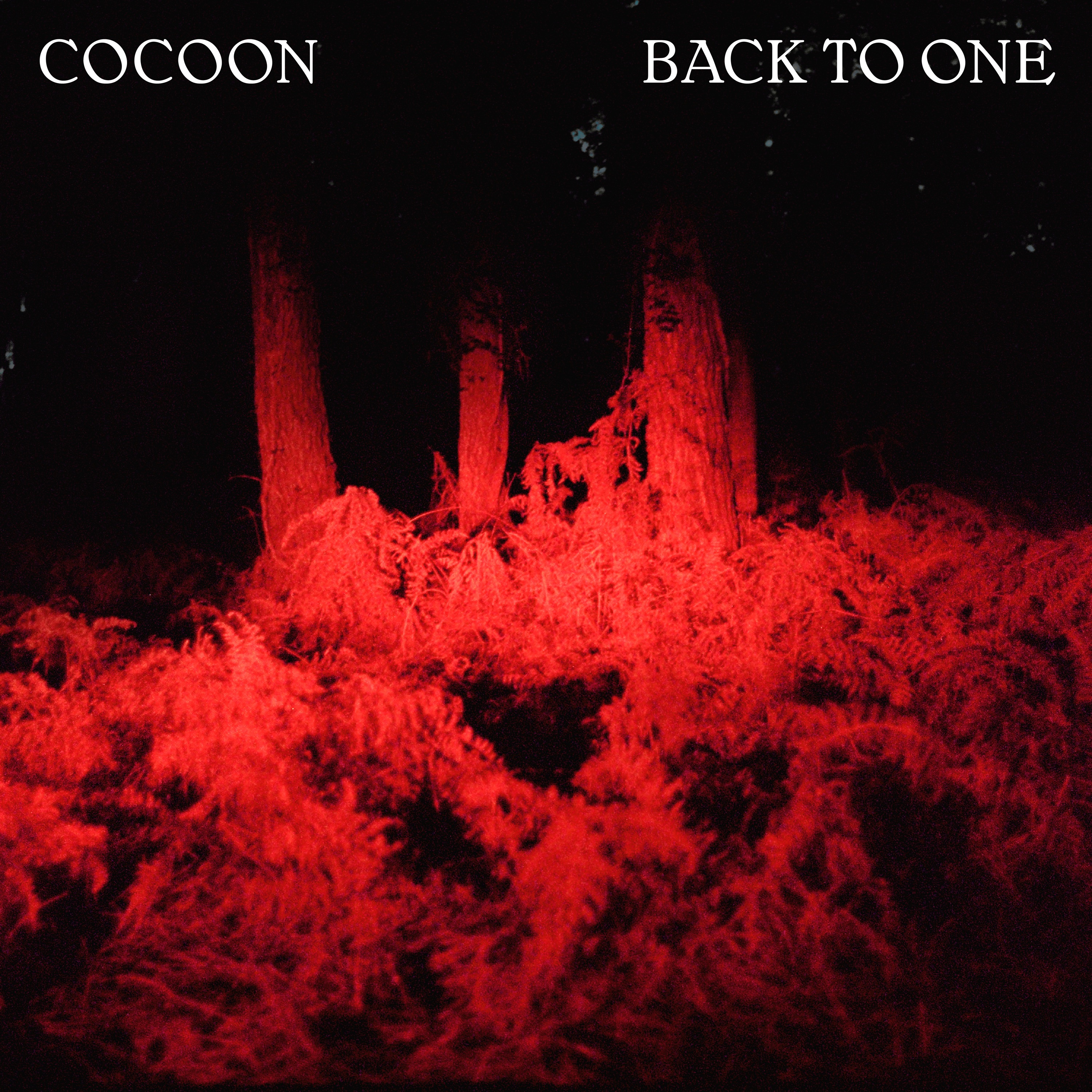 Back To One (feat. Clou) - Single album cover