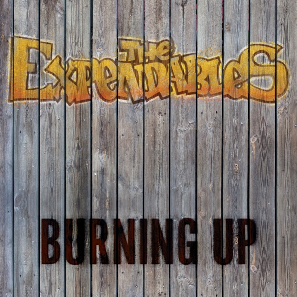 Burning Up - Single album cover