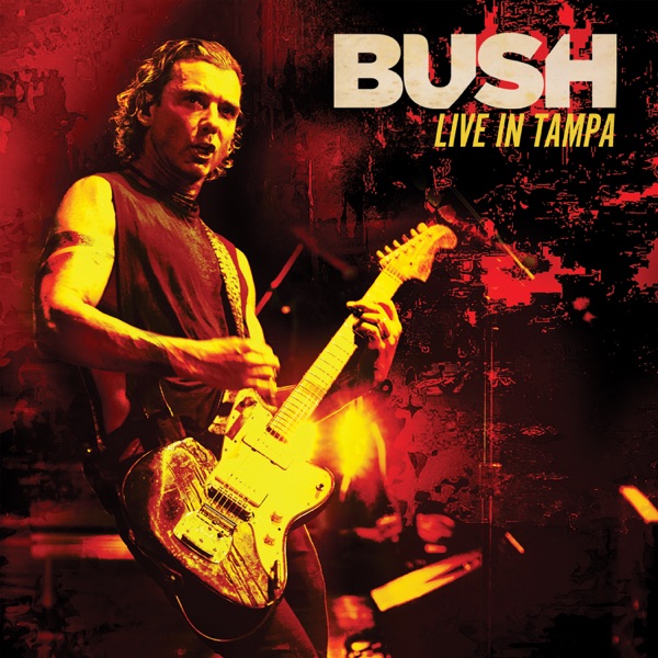 Live in Tampa album cover