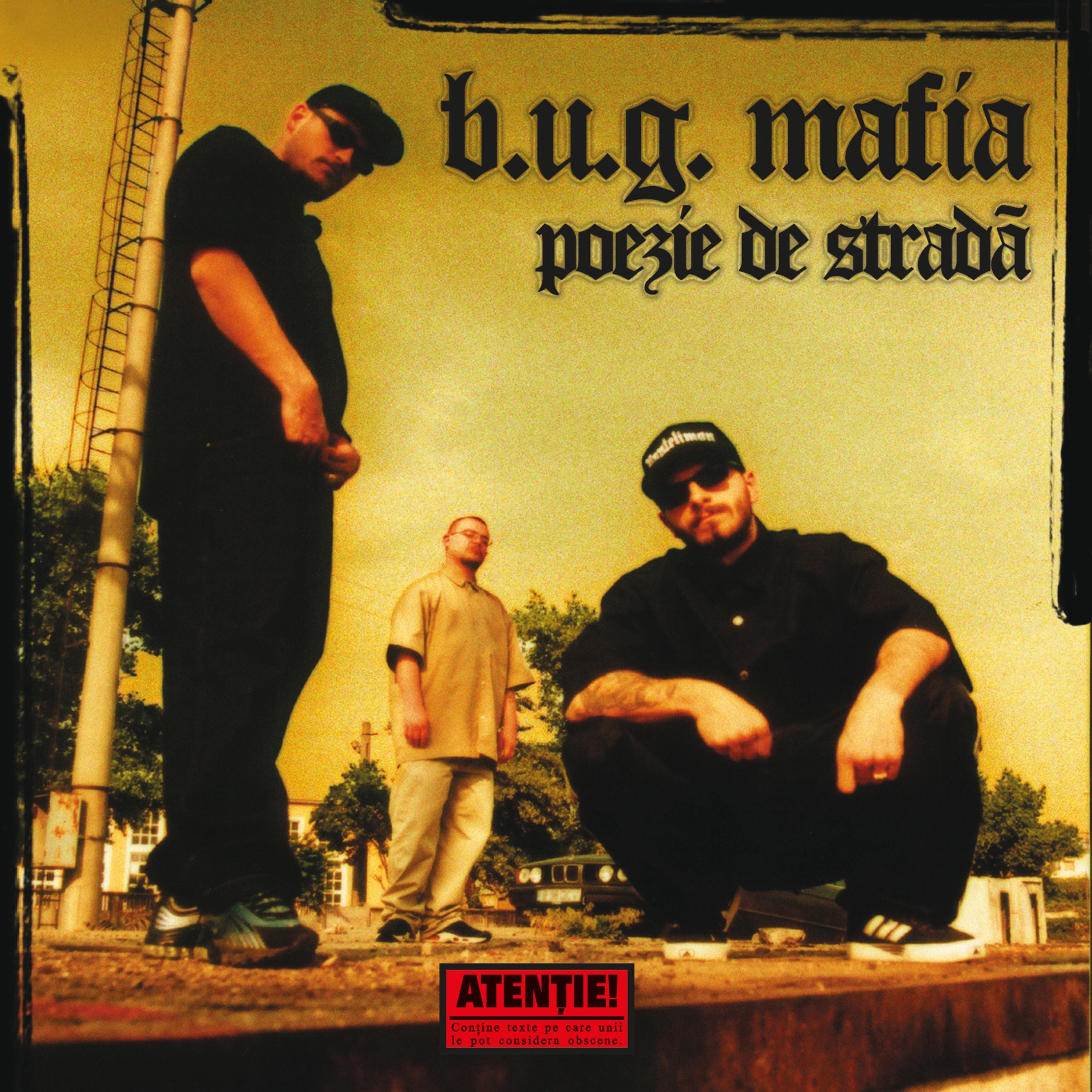 Poezie De Strada (Maxi-Single) - EP album cover