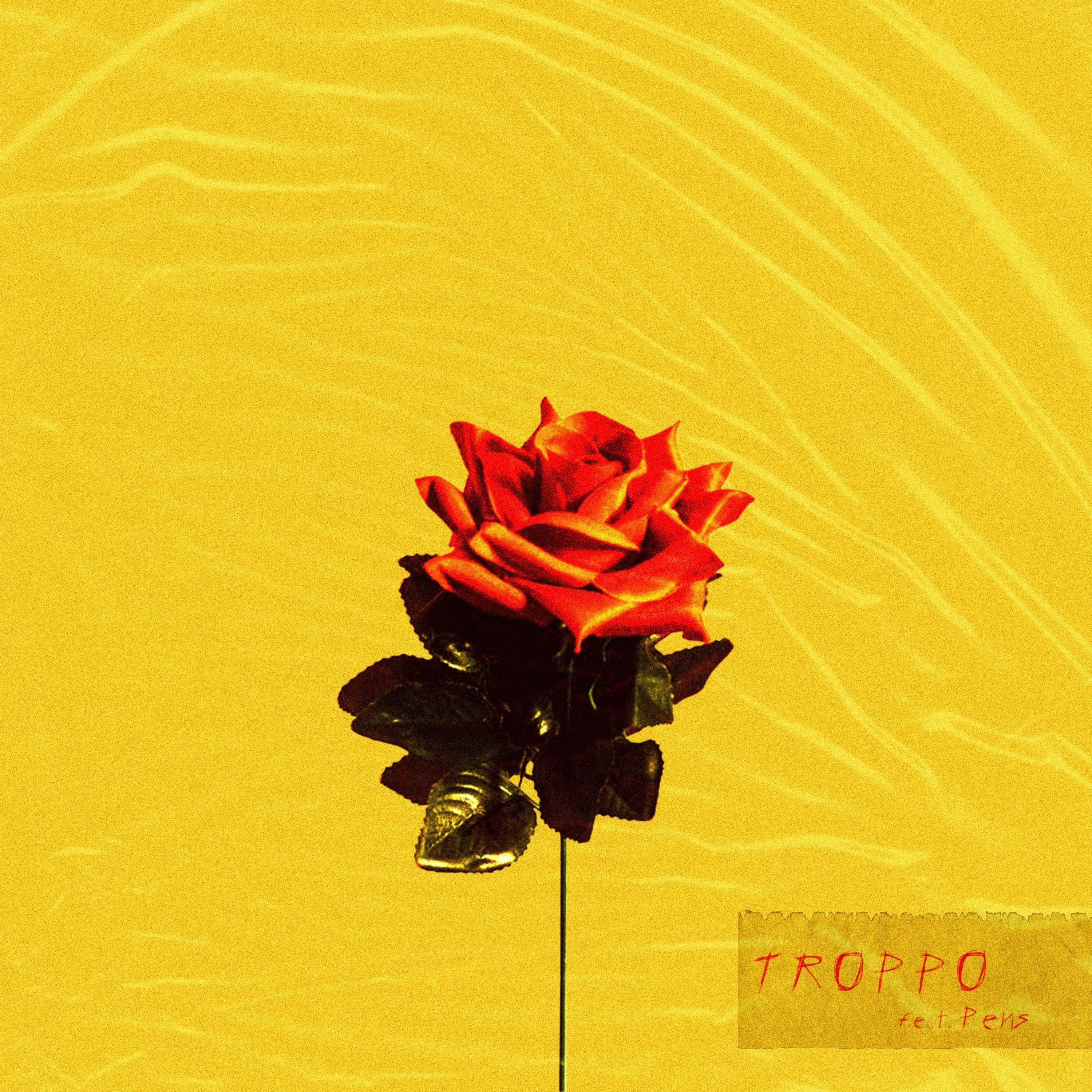 Troppo (feat. Pens) - Single album cover