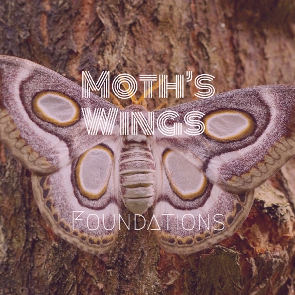 Moth's Wings - Single album cover