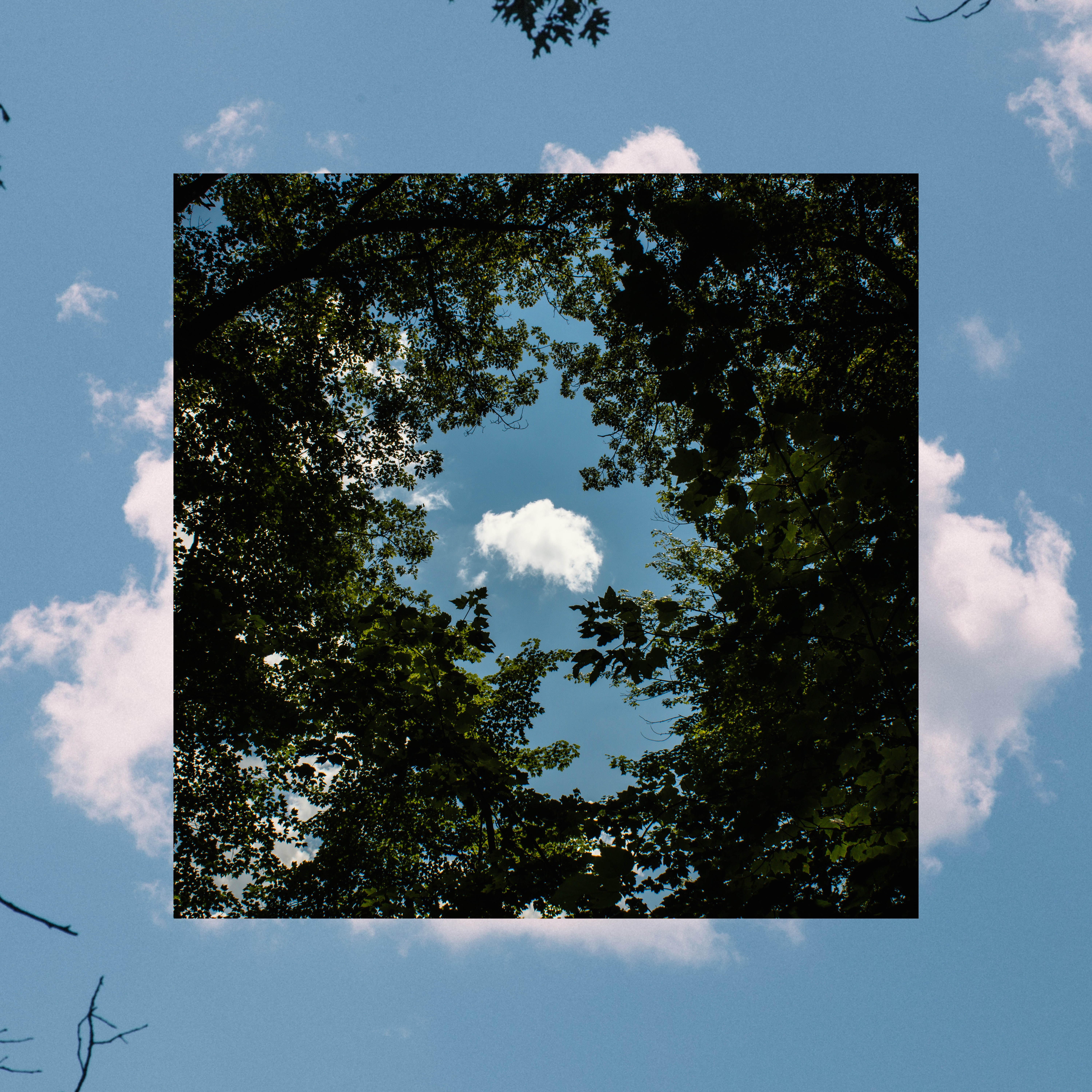 Bloom Innocent - Single album cover
