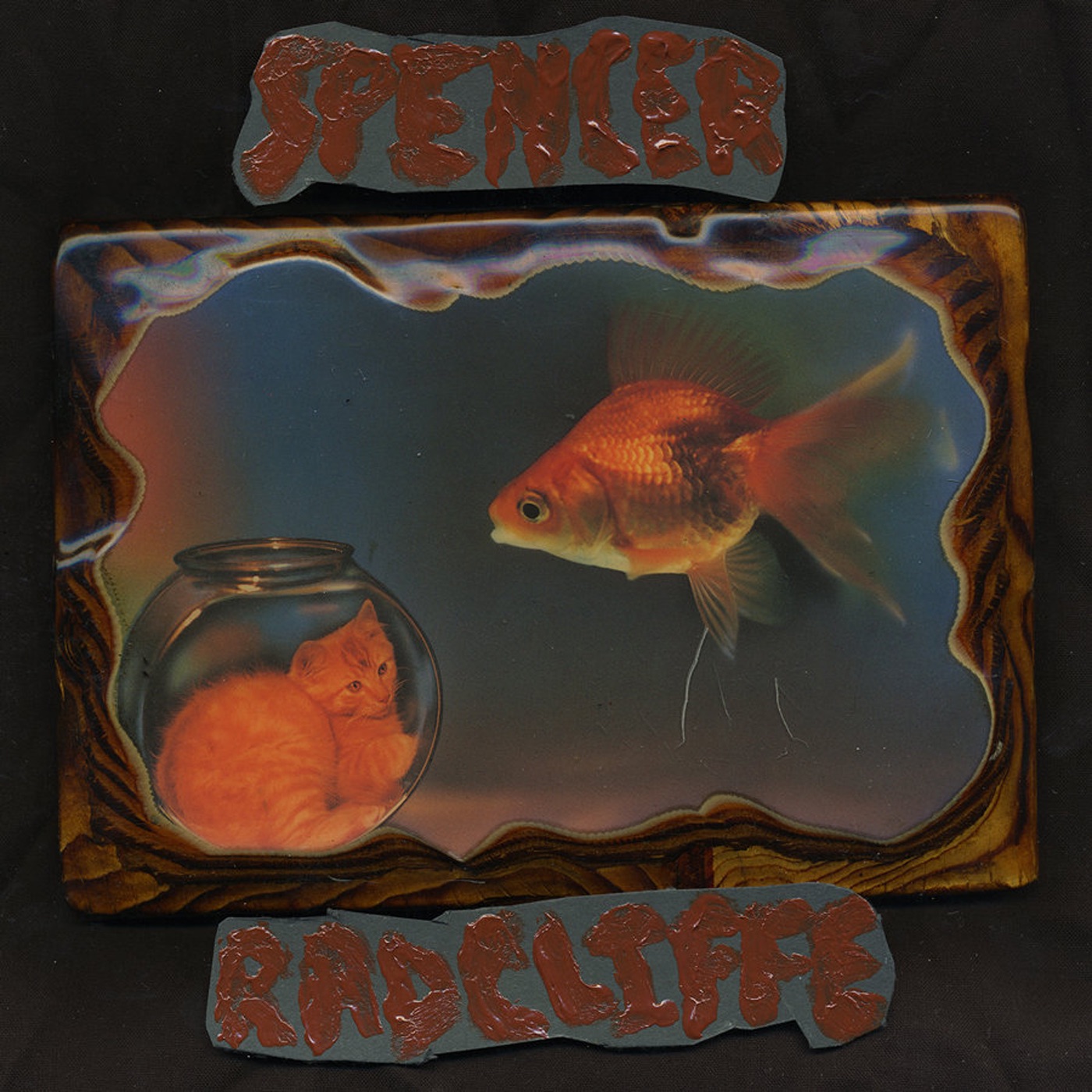 Looking In album cover