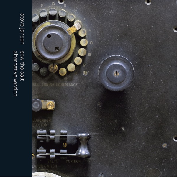 Sow the Salt (Alternative Version) [feat. Thomas Feiner] - Single album cover