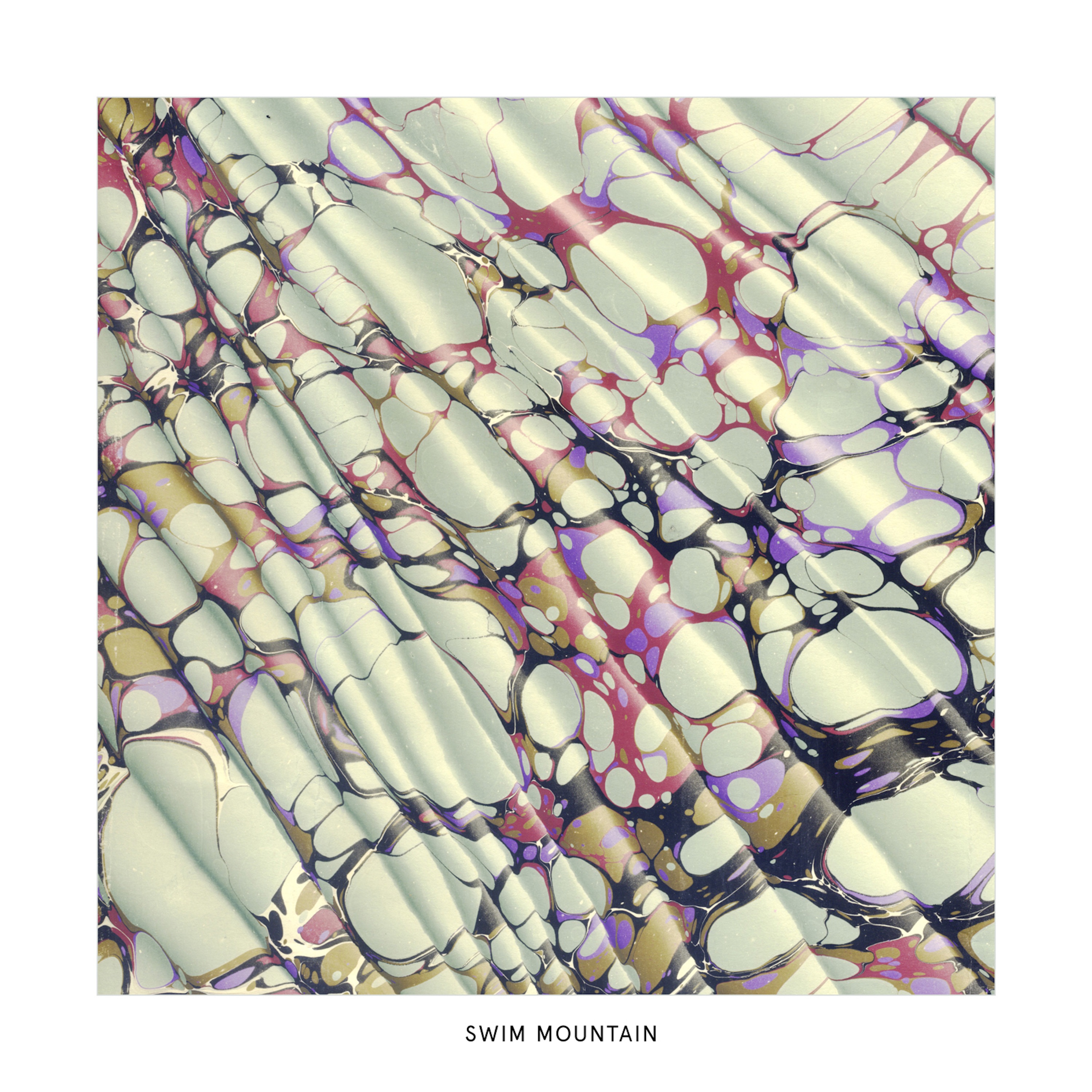 Swim Mountain - EP album cover