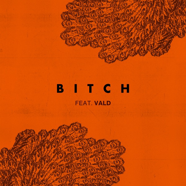 Bitch (feat. Vald) - Single album cover