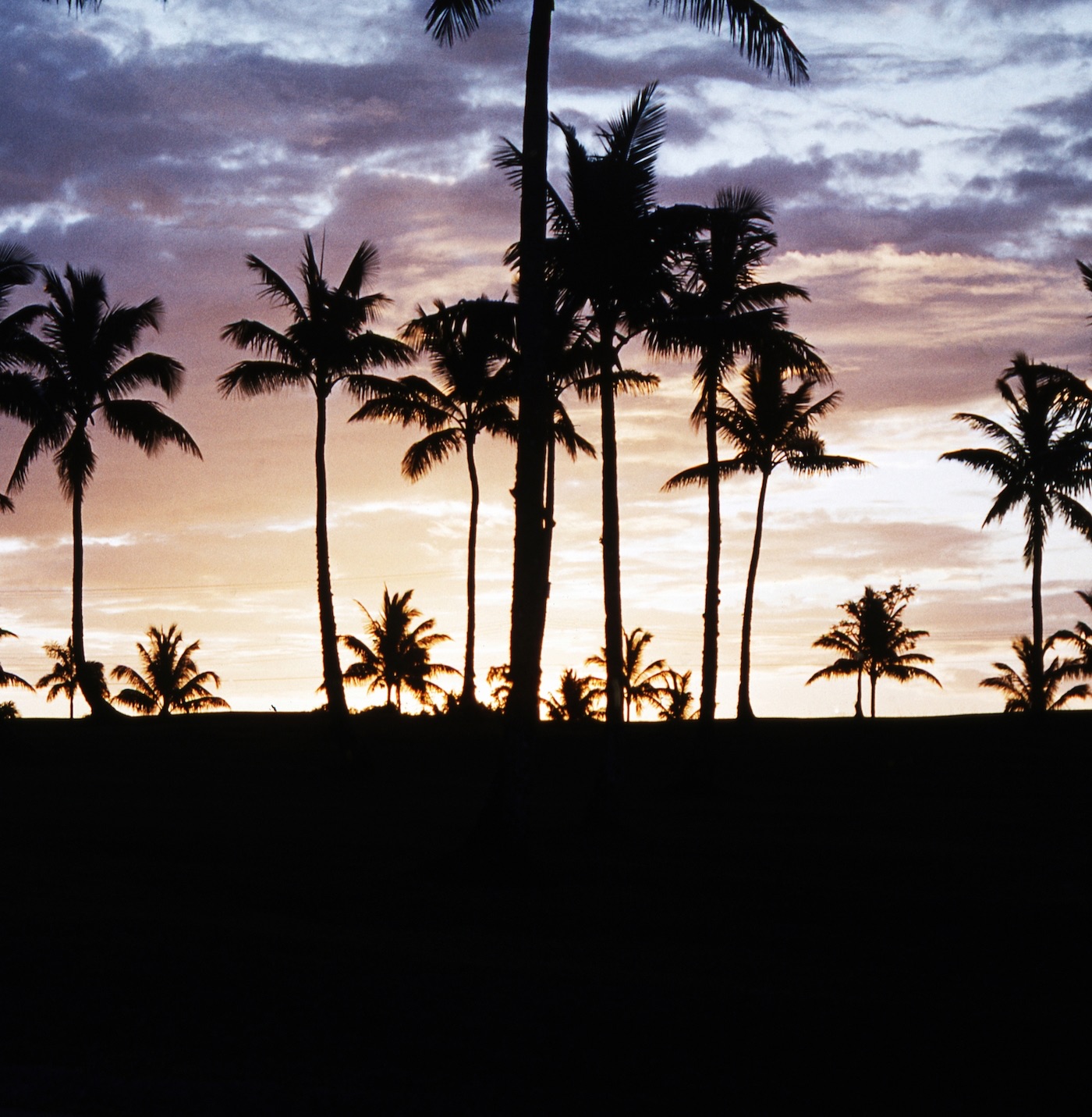 Tropical album cover