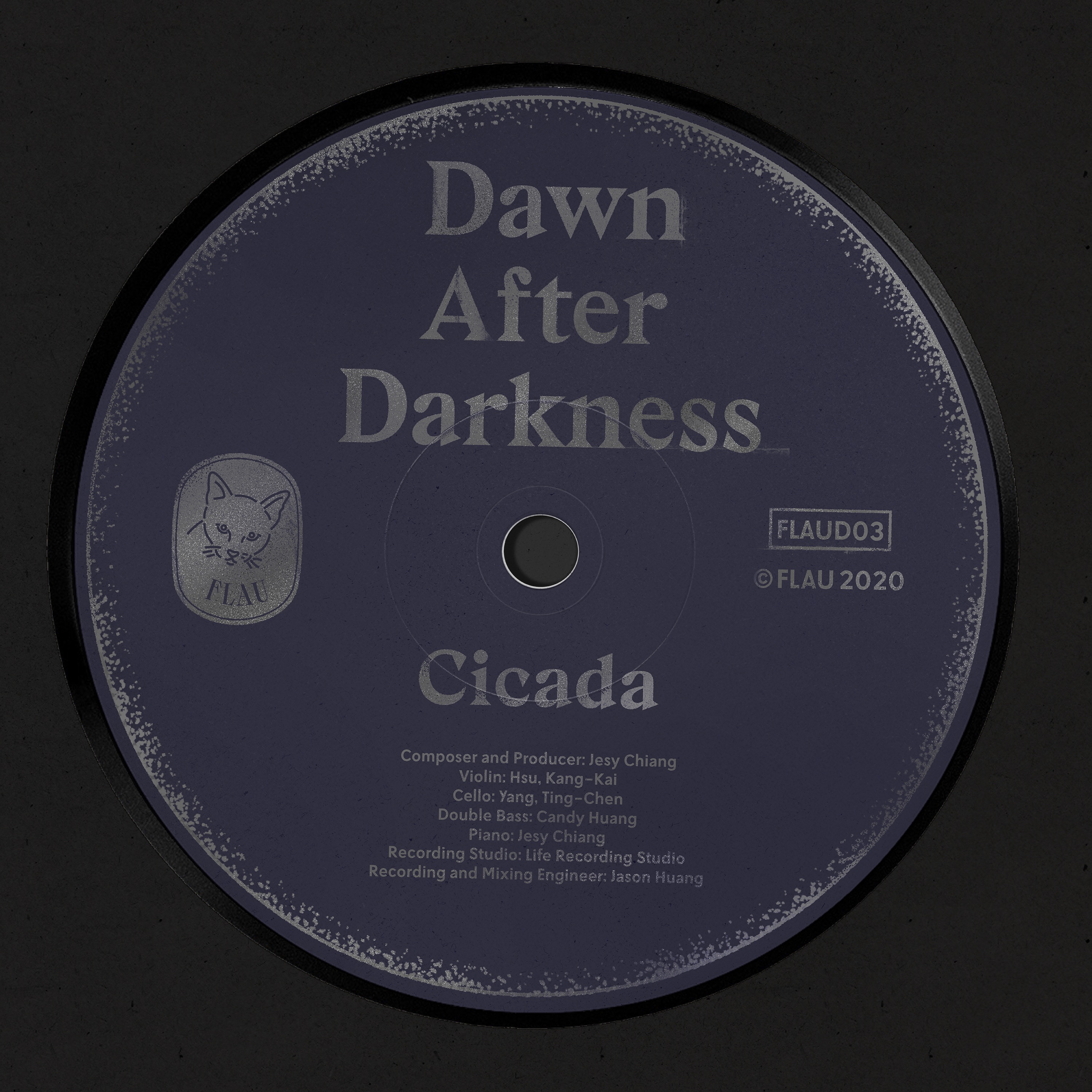 Dawn After Darkness - Single album cover