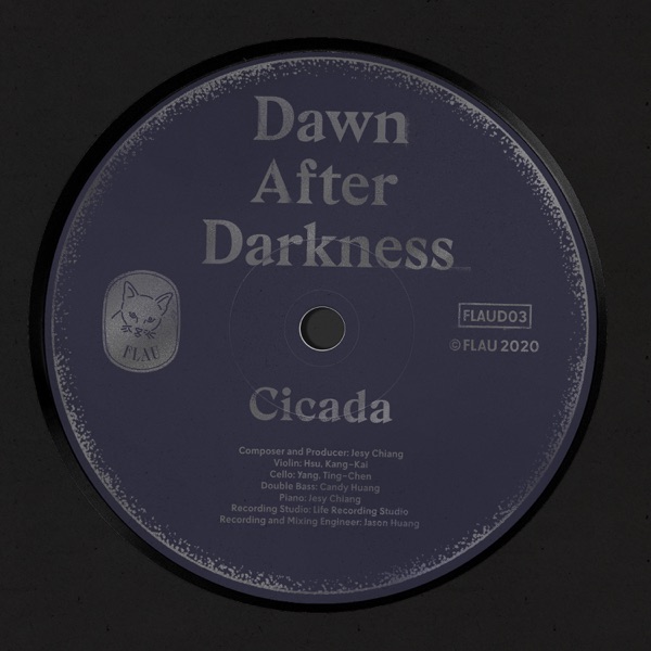 Dawn After Darkness - Single album cover