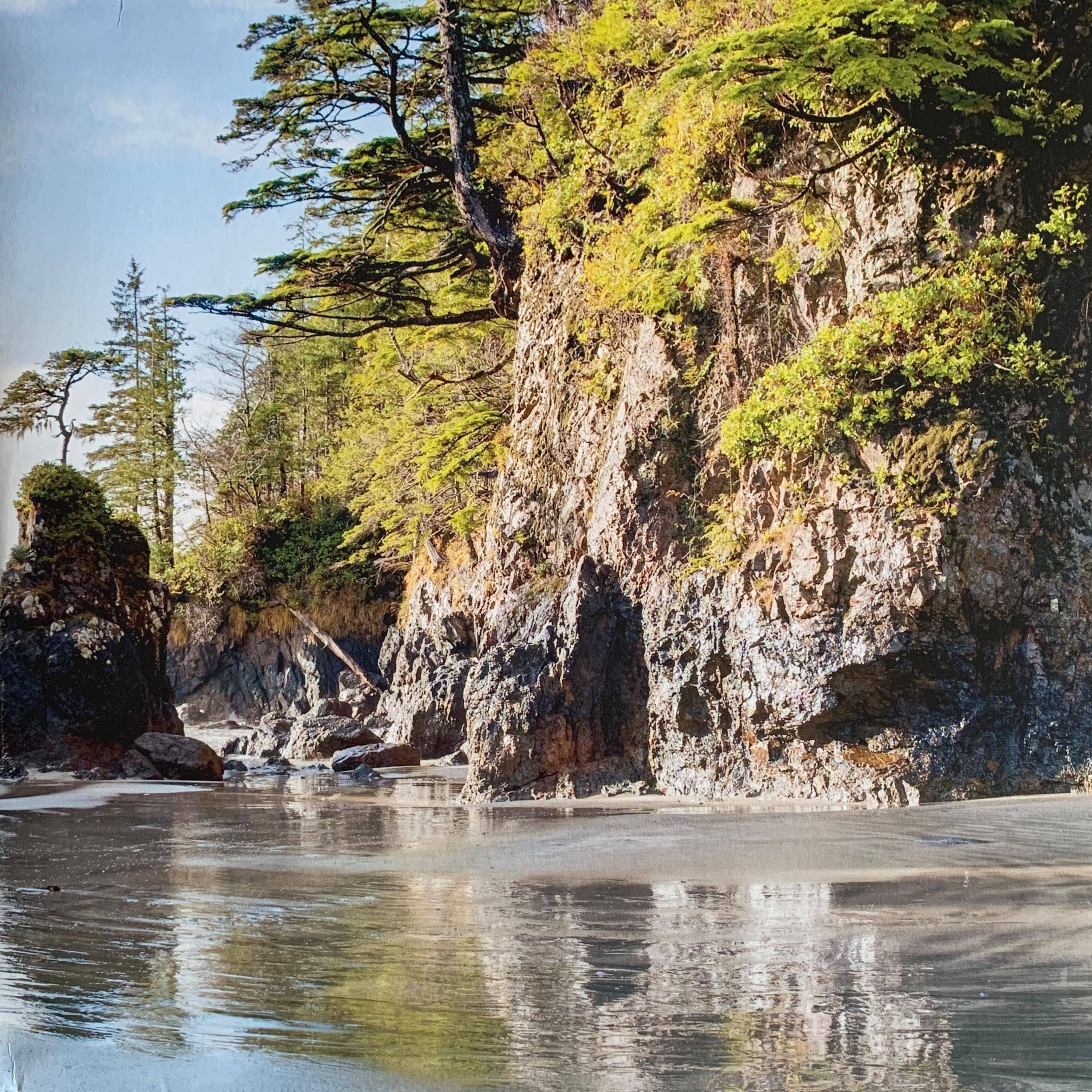 Pacifica album cover