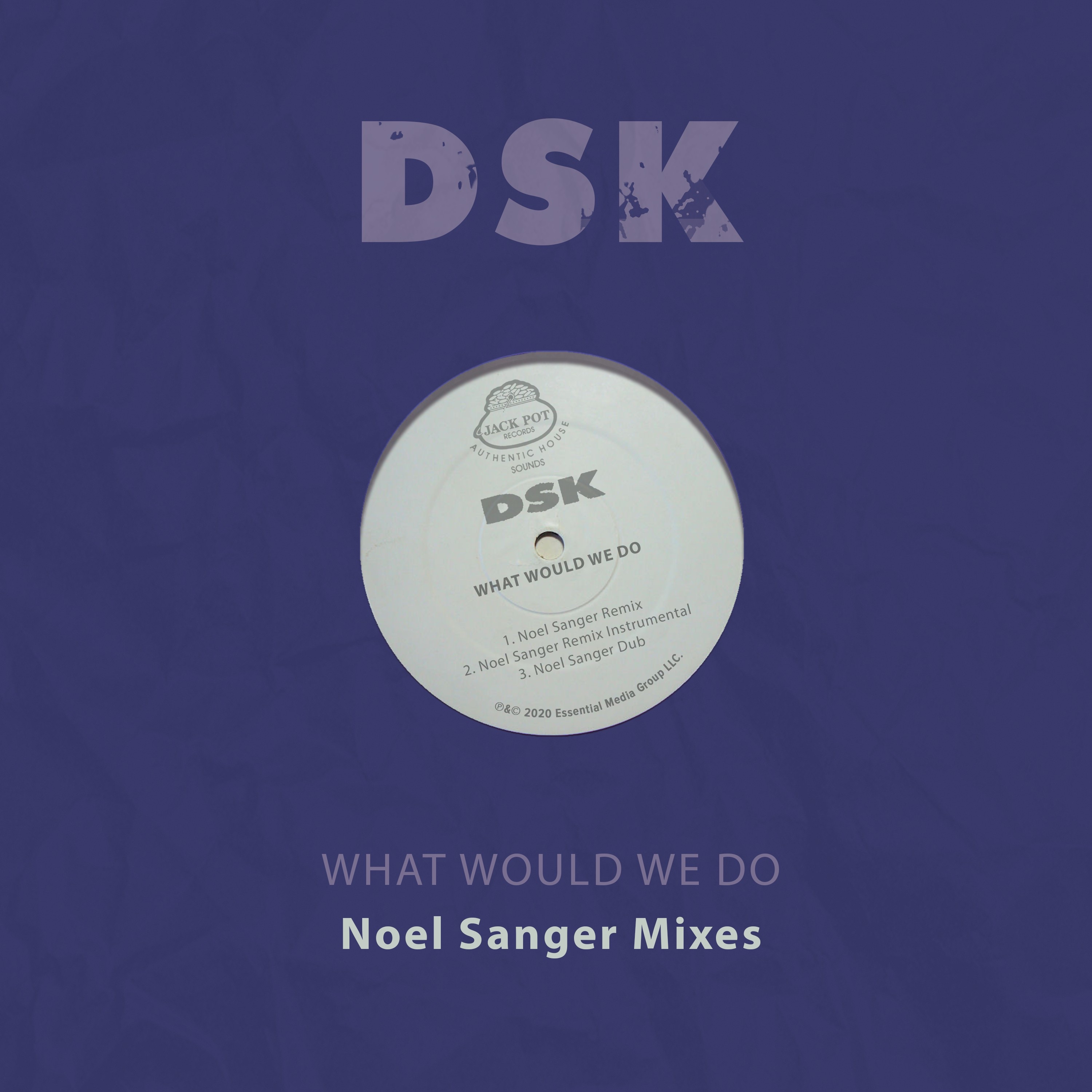 What Would We Do (Noel Sanger Mixes) - Single album cover