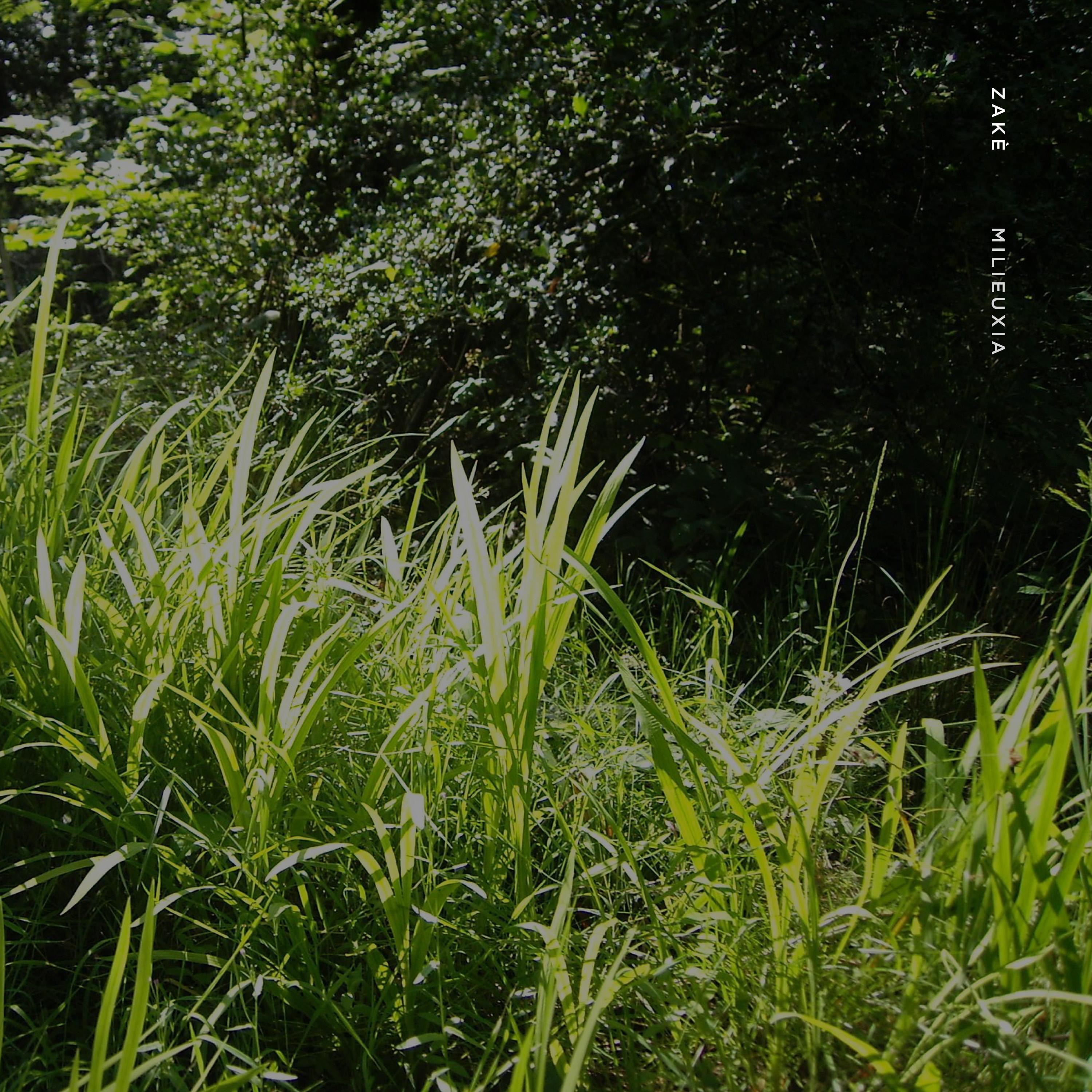 Milieuxia - EP album cover