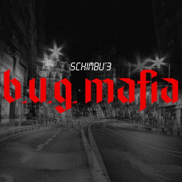 Schimbu' 3 - Single album cover