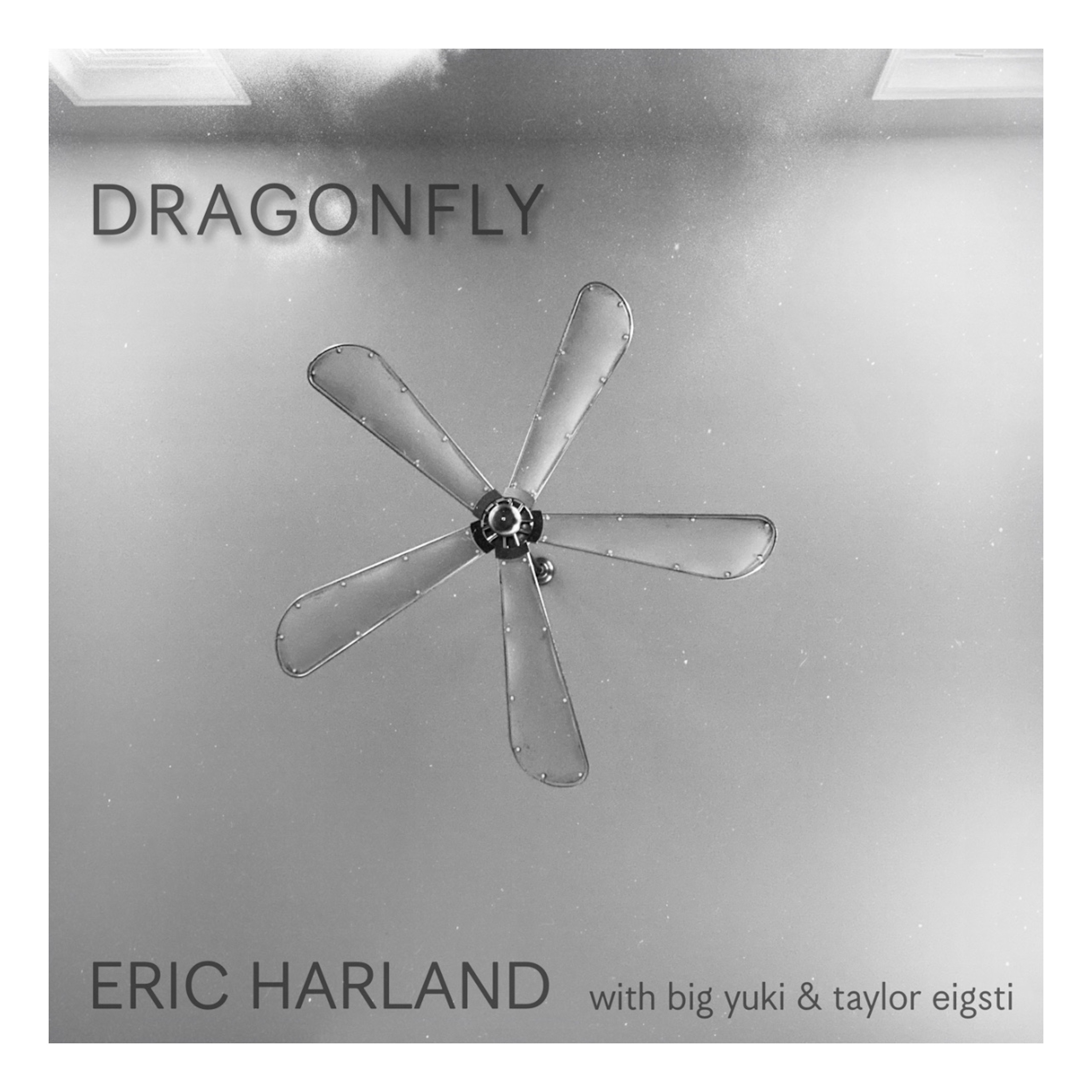Dragonfly (feat. Big Yuki & Taylor Eigsti) - Single album cover