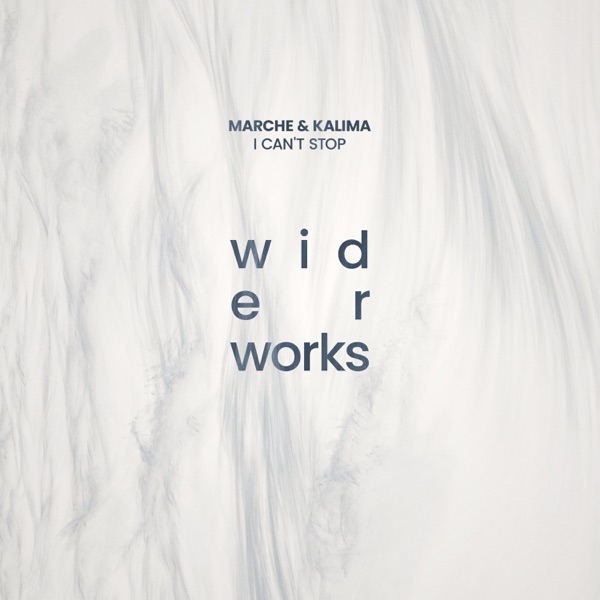 I Can't Stop - Single album cover