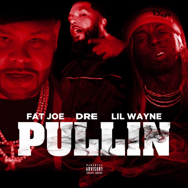 Pullin - Single album cover