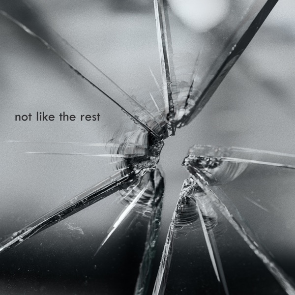 Not Like the Rest - Single album cover