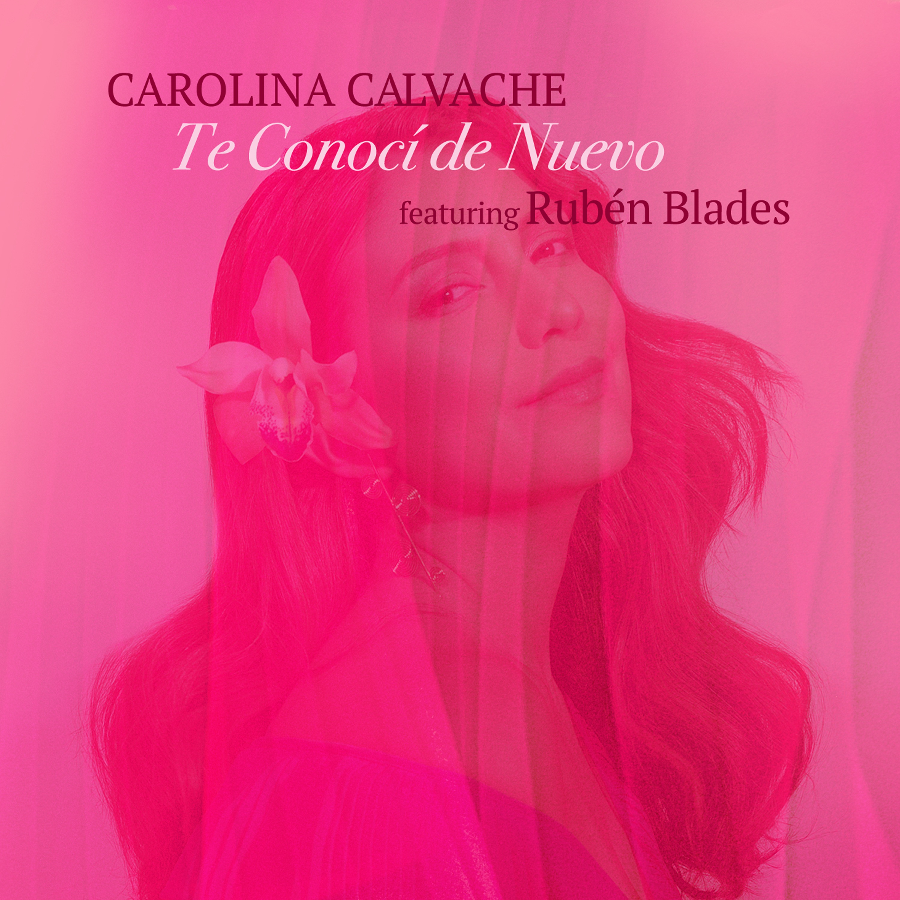 Te Conocí de Nuevo (feat. Rubén Blades) - Single album cover