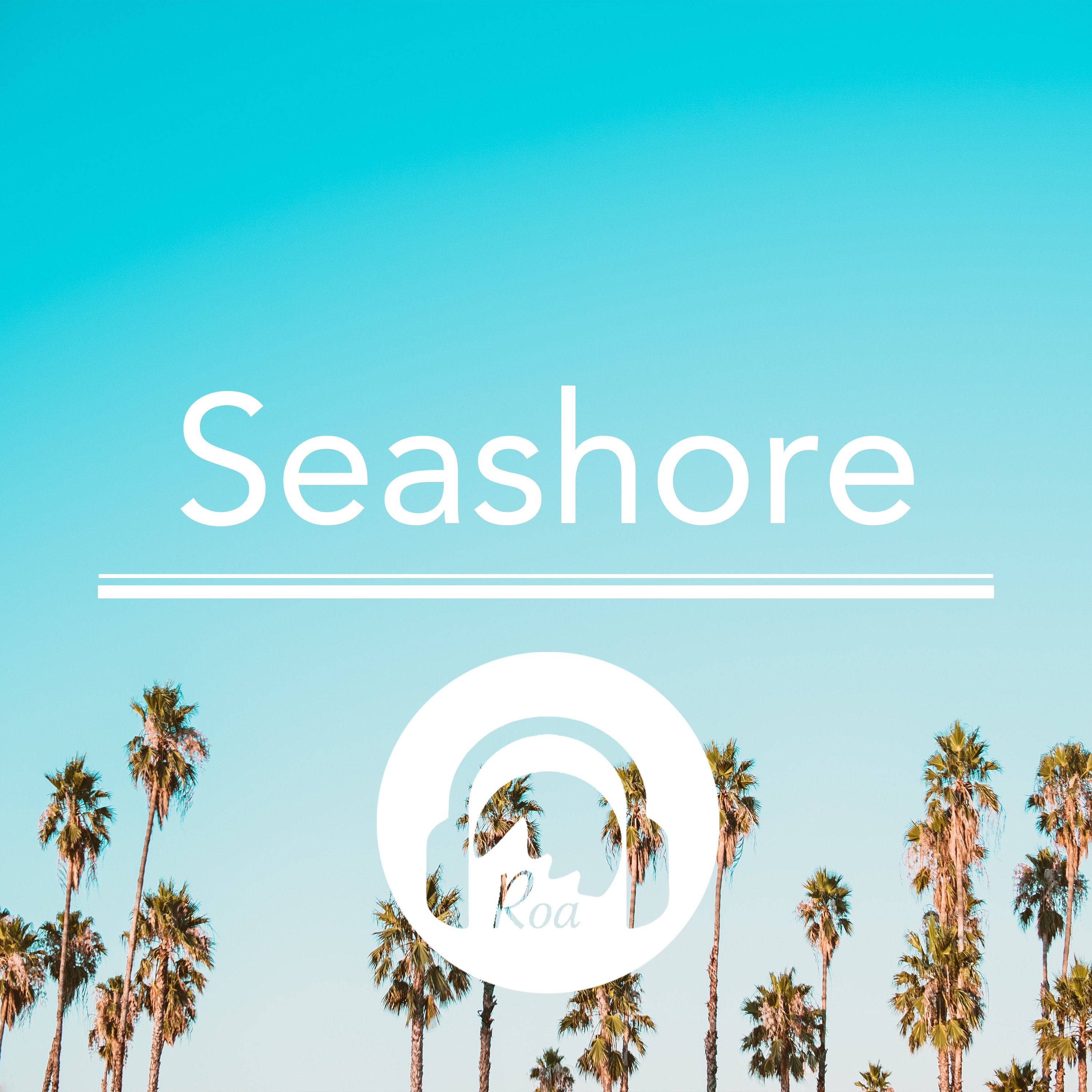 Seashore - Single album cover