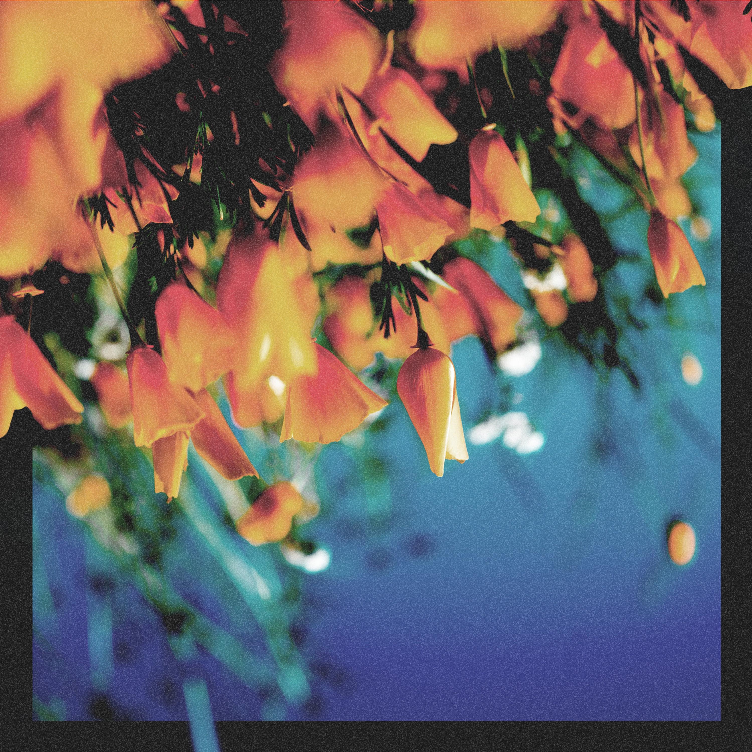 Quicksand - Single album cover